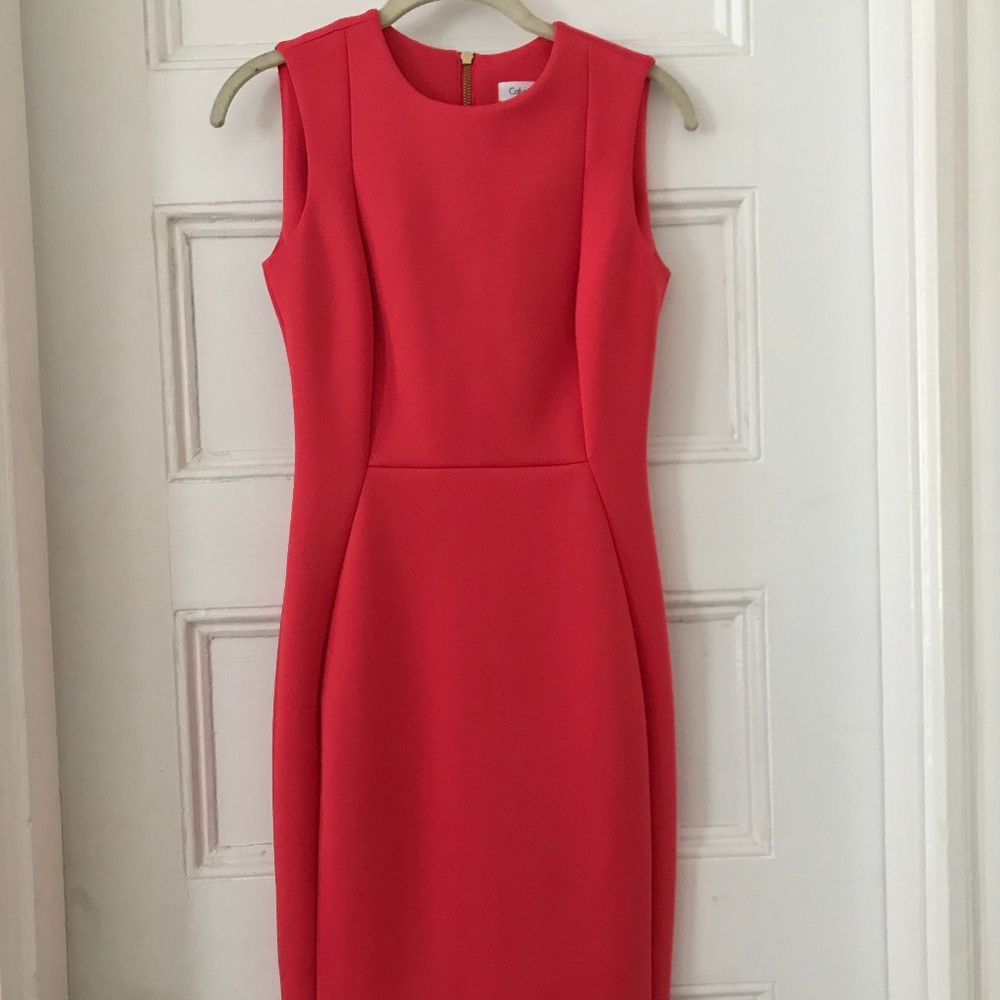 Calvin Klein Scuba Dress